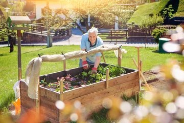 Fotobehang old man is working in his garden - gardening 22 © Patrizia Tilly