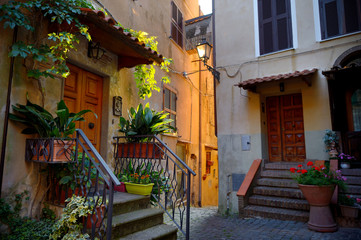 Fototapeta na wymiar Typical medieval narrow street in beautiful town of Nemi