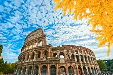 Foto op Canvas Rome, Coliseum. Italy. © Luciano Mortula-LGM