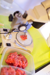 Food quality control expert inspecting at meat specimen in the laboratory
