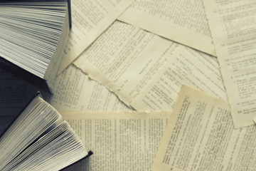 Two open books on a background of scattered dictionary pages. Top view . Toned in blue