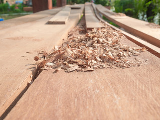 Fototapeta na wymiar sawdust background close-up, wood carpentry , wood texture
