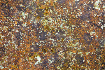 Rusted multicolored metal plate background