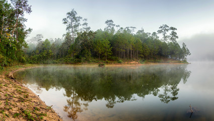 Fototapeta na wymiar dawn misty morning of forest and lake