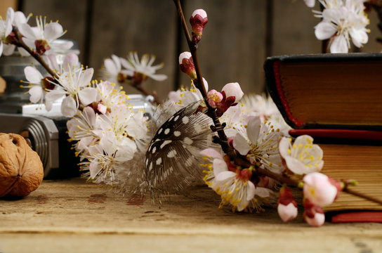 vintage still life with old books apricot blossom flowers and retro camera on a wooden surface