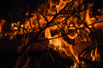 Close up of a fire with twigs
