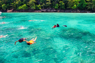 Travelers are swimming and snorkeling in Andaman sea at Similan
