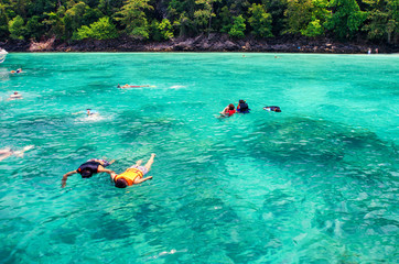 Fototapeta premium Travelers are swimming and snorkeling in Andaman sea at Similan