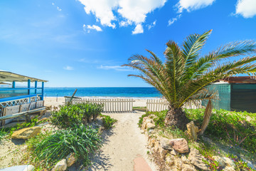Fototapeta premium beach bar with palms