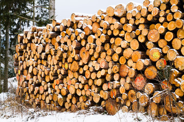 Snow covered fresh cut firewood stack at winter.