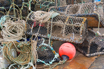 Pattern of lobster pots on habor side