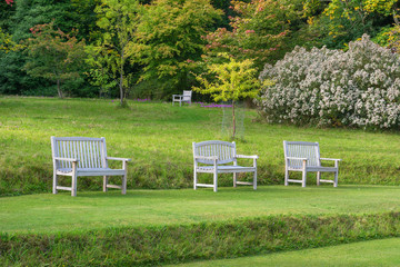 Wooden benches set on a well tended lawn with trees in the backg