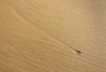 Sandy beach forming abtract patten with a shell