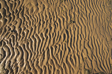 Sandy sea bottom texture background