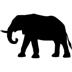 Silhouette of an elephant 