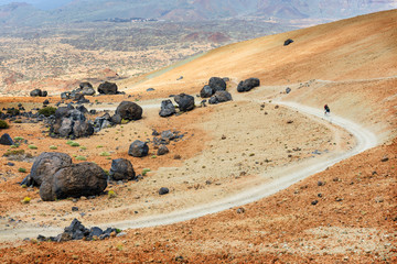 Volcanic bombs on Montana Blanca, Teide National Park, Tenerife, Canary Islands, Spain