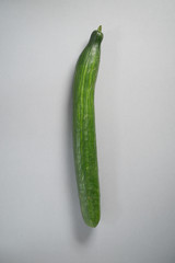Single cucumber still life
