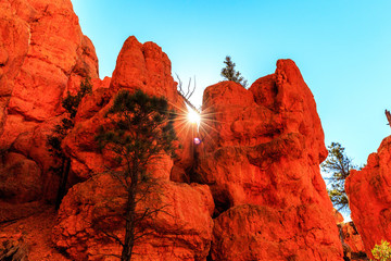 Hoodoos in Red Canyon in Utah, USA.