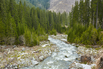 Fototapeta premium River in the mountains