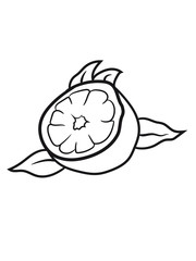 lemon cut half eat half tasty sour