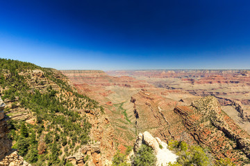 Fototapeta na wymiar Grand Canyon, south rim, sunny day with blue sky
