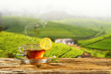Cup of hot tea with plantation on background