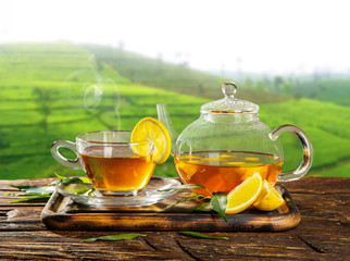 Cup of hot tea with plantation on background