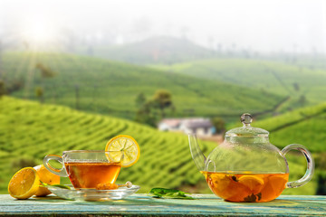Cup of hot tea with plantation on background