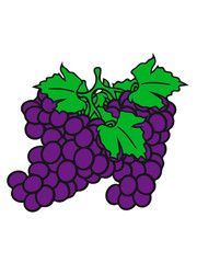many grape grapes harvest tasty wine