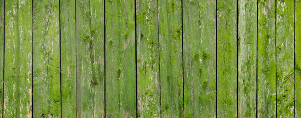 Wooden wall texture