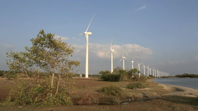 Crows flying in sky with wind farm turbines on edge of Puttalam Lagoon 