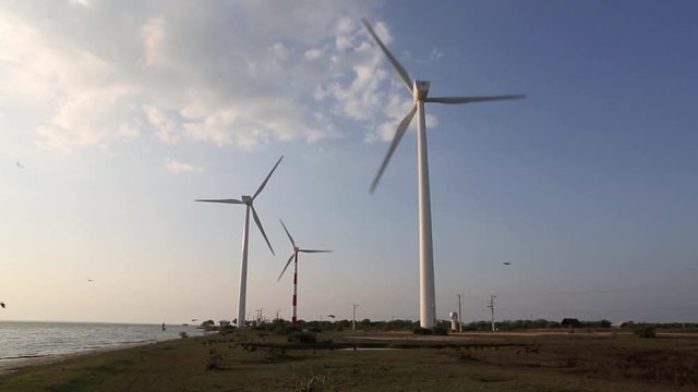Crows flying in sky with wind farm turbines on edge of Puttalam Lagoon 