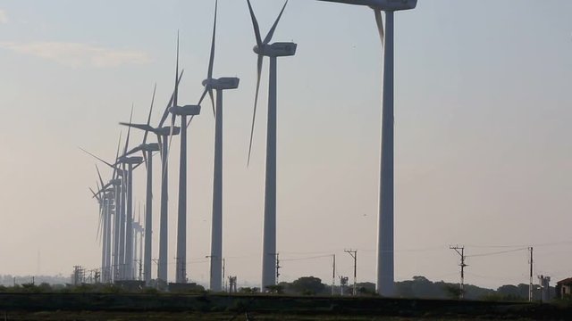 Spinning blades of turbine wind farm on the shore of Puttalam Lagoon in Sri Lanka 