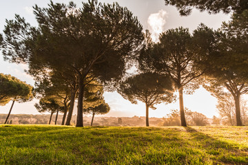 Villa Doria Pamphili