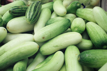 cucumber