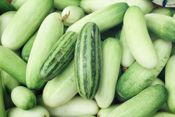 cucumber