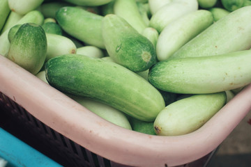 cucumber