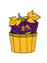 grapes grape harvesting tasty wine comic face cool sunglasses funny summer stomp bucket vat occur