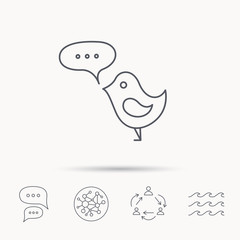 Bird with speech bubble icon. Short messages.