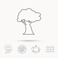 Oak tree icon. Forest wood sign.