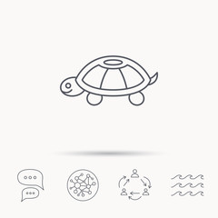 Turtle icon. Tortoise sign.