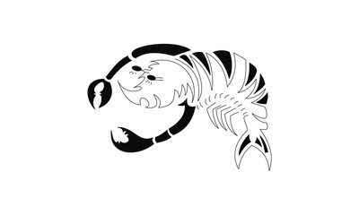 shrimp cartoon hand drawn