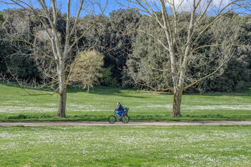 I Like the Bike