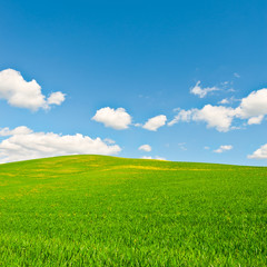 Obraz premium Green Meadows