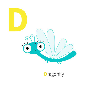 Letter D Dragonfly. Zoo alphabet. Insect. English abc with animals Education cards for kids Isolated White background Flat design