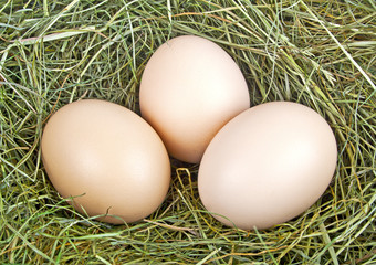 Eggs on the hay