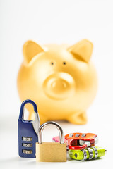 Naklejka premium .Save money, lock your budget