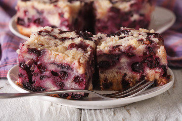 Sponge cake with blueberries close-up on a plate. horizontal
