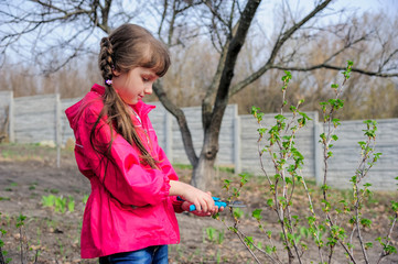 Little Girl cuts bush shears