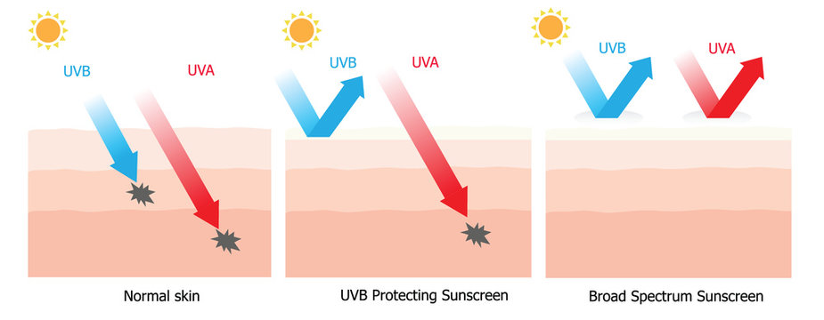 Skin compare between skin with broad-spectrum sunscreen